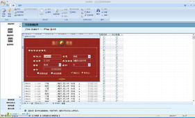 Access軟件開發(fā)與數(shù)據(jù)處理服務(wù)概述